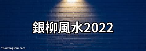 銀柳要放水嗎|【銀柳要放水嗎】銀柳要放水嗎？解開春節必備品的擺放疑惑